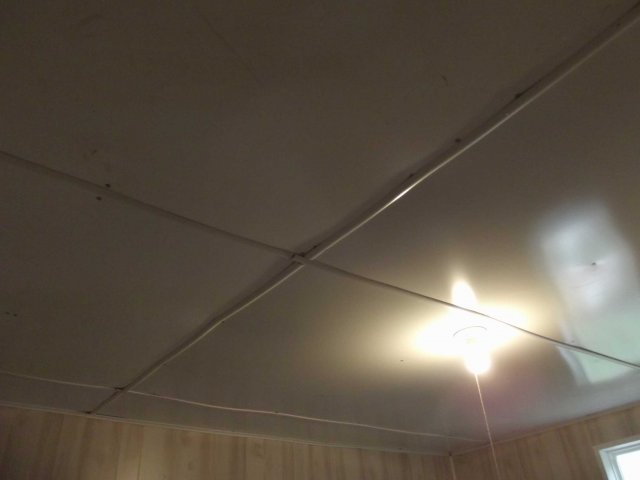 DSCF1770.jpg