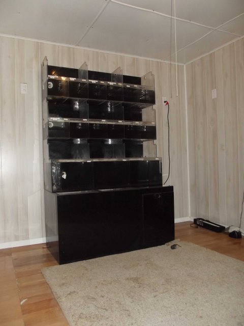 DSCF1773.jpg