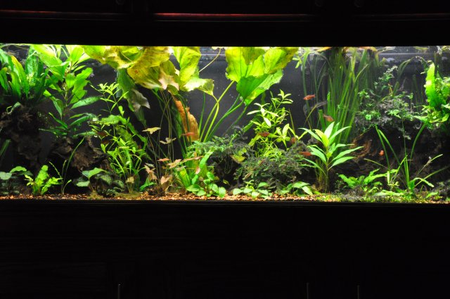 11-26-11 045.JPG