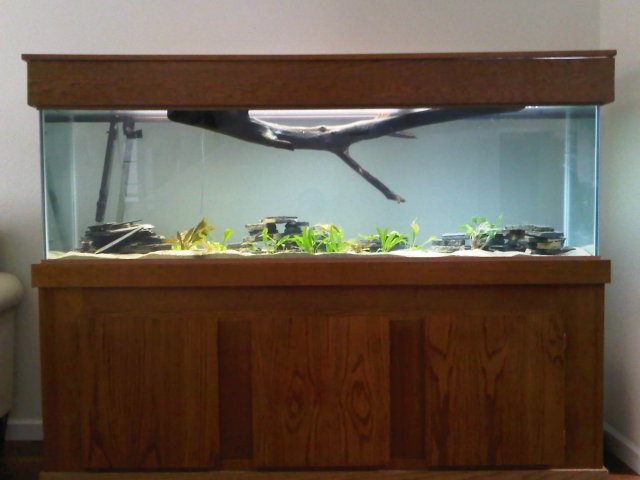 IMG00366-20111126-1241.jpg