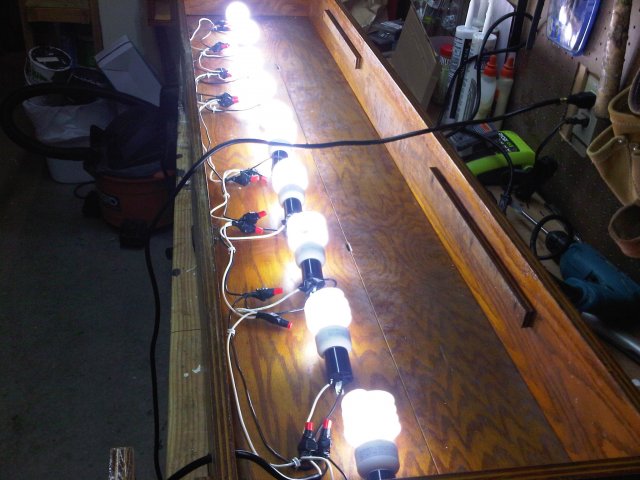 IMG00369-20111127-1642.jpg