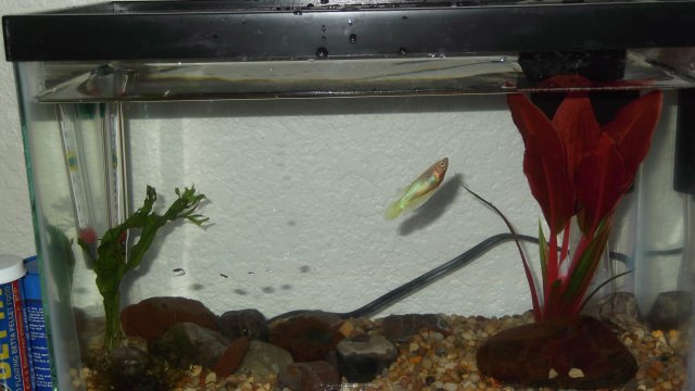 DSCF0465.JPG
