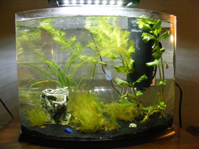 new5gal.jpg new5gal.jpg