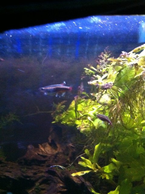 IMG_0126.JPG IMG_0126.JPG