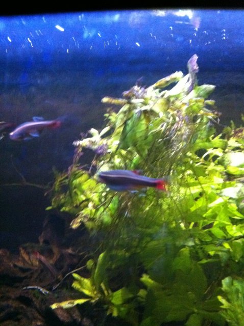 IMG_0120.JPG IMG_0120.JPG