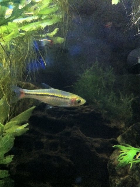 IMG_0055.JPG IMG_0055.JPG