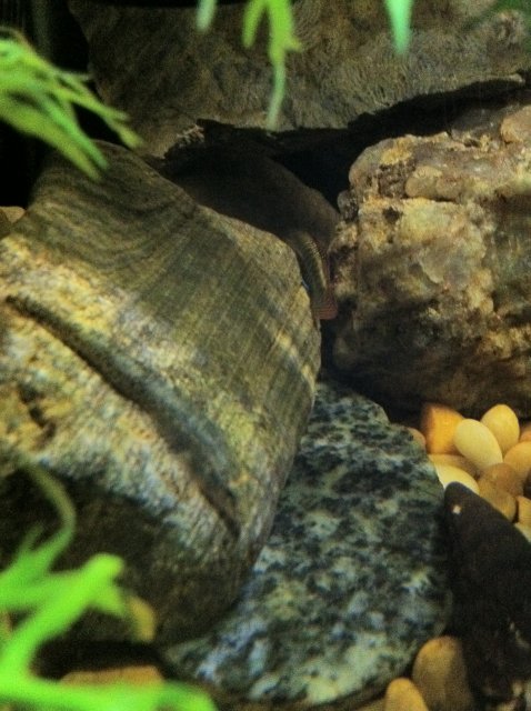 IMG_0053.JPG IMG_0053.JPG