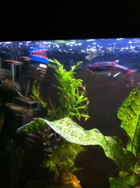 IMG_0122.JPG IMG_0122.JPG