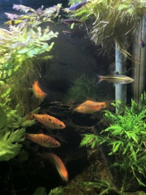 IMG_0119.JPG IMG_0119.JPG