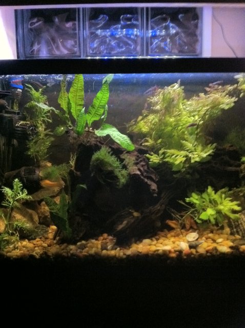 IMG_0111.JPG IMG_0111.JPG