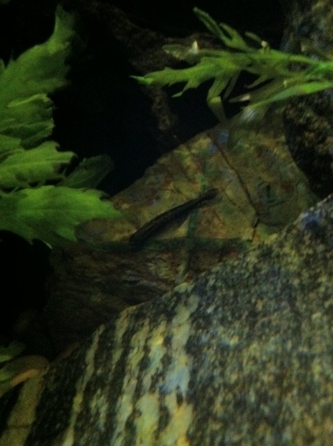 IMG_0045.JPG IMG_0045.JPG