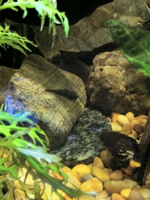 IMG_0035.JPG IMG_0035.JPG