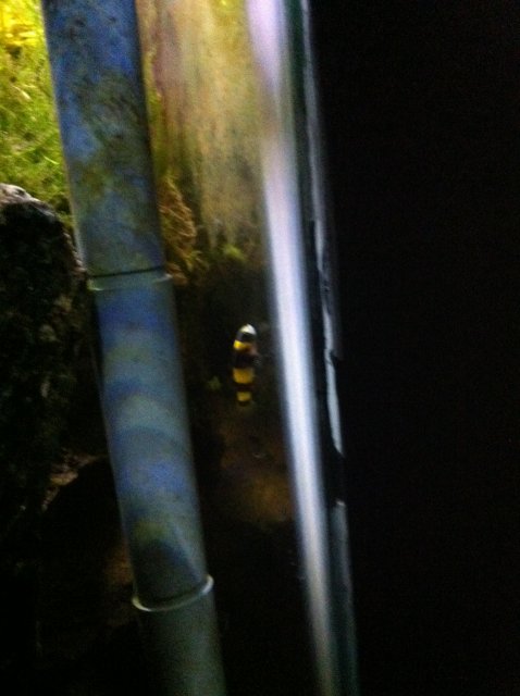 IMG_0142.JPG IMG_0142.JPG