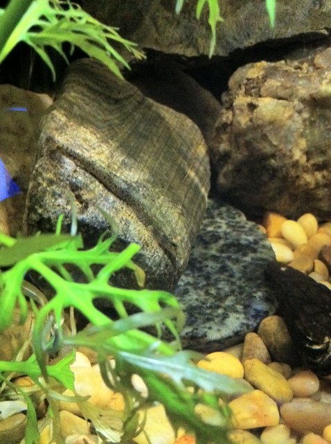 IMG_0049.JPG IMG_0049.JPG