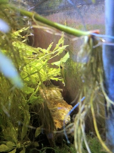 IMG_0107.JPG IMG_0107.JPG