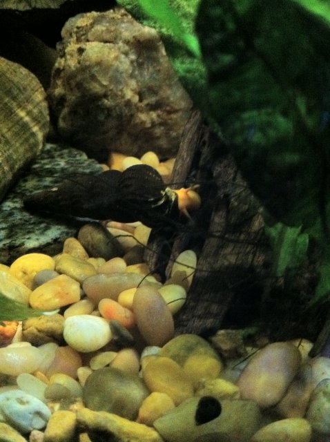 IMG_0025.JPG IMG_0025.JPG