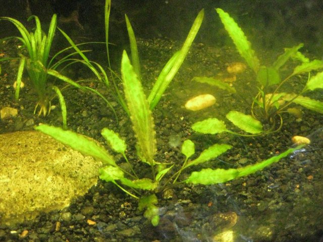 IMG_0149.JPG