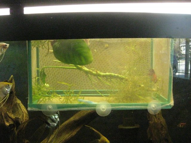 IMG_0143.JPG