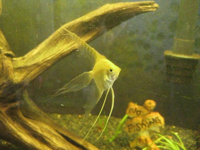 IMG_0147.JPG