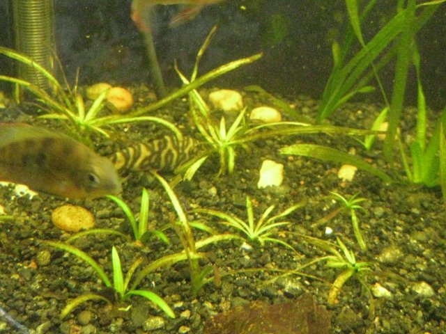 IMG_0145.JPG