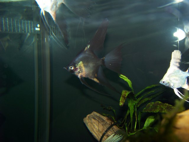 100_2635.JPG