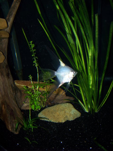 100_2585.JPG