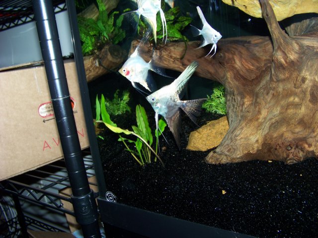 100_2560.JPG