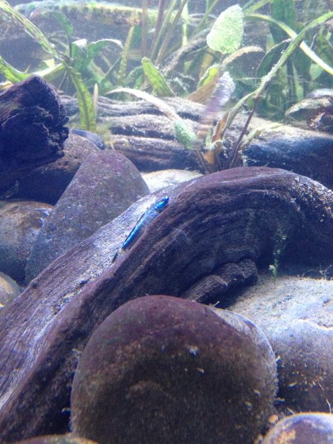 045.JPG
