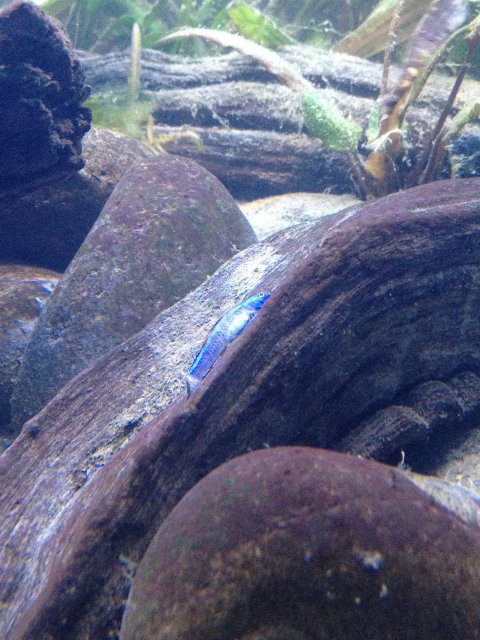 048.JPG