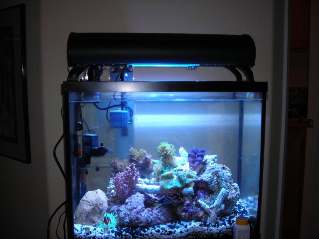 DSCN0310.JPG