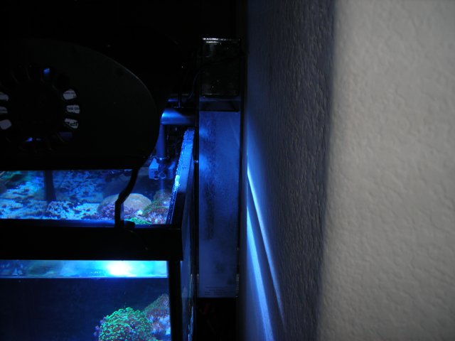 DSCN0315.JPG