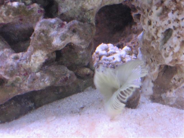 IMG_1750.jpg