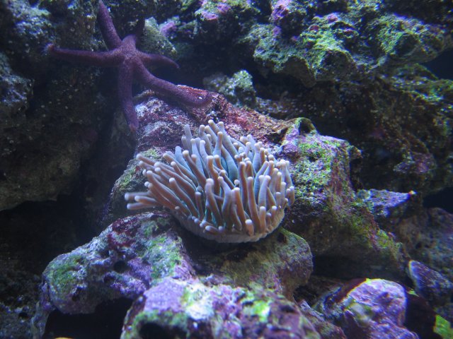 050407 Tank pics001.jpg