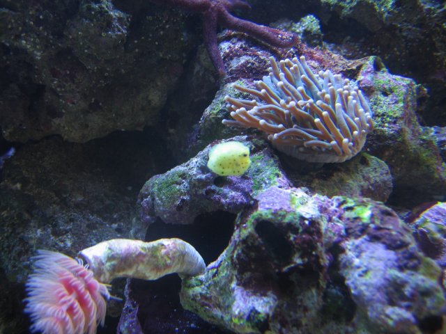 050407 Tank pics002.jpg