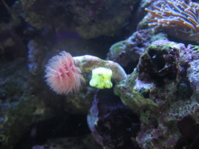 050407 Tank pics003.jpg