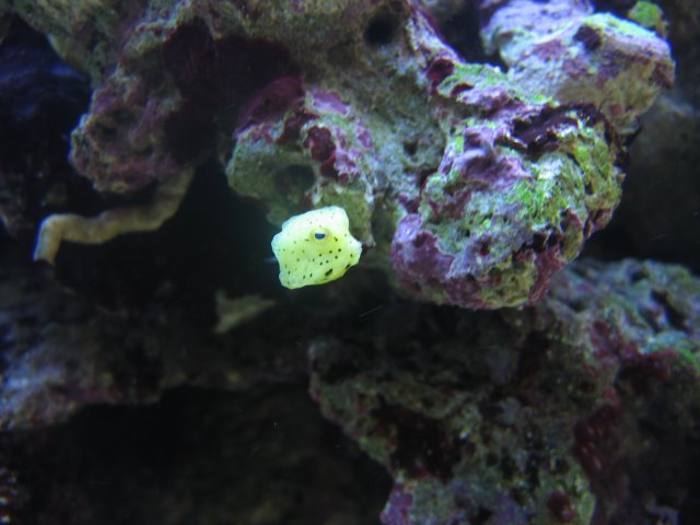 050407 Tank pics004.jpg