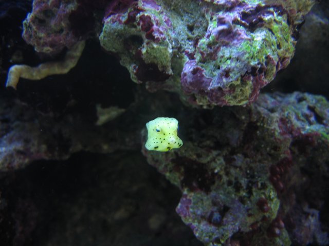 050407 Tank pics005.jpg