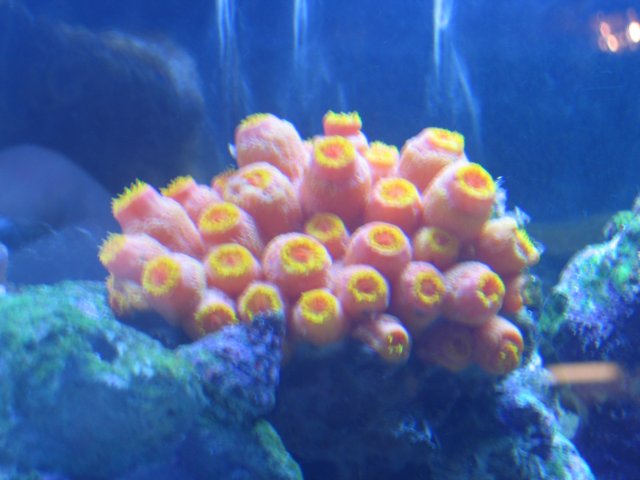 050407 Tank pics008.jpg