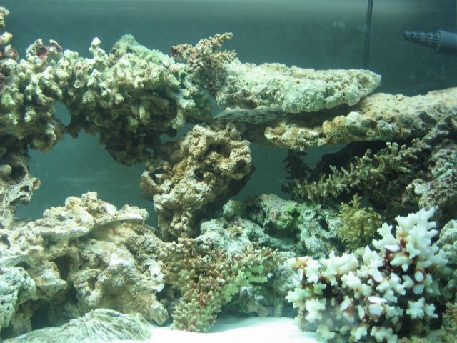 IMG_0885.JPG