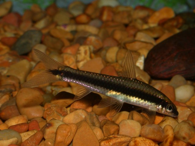 DSCN5321.JPG DSCN5321.JPG