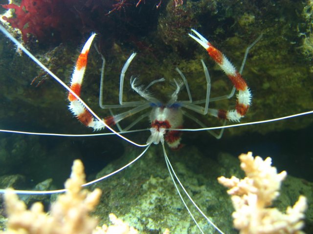 IMG_2878.jpg
