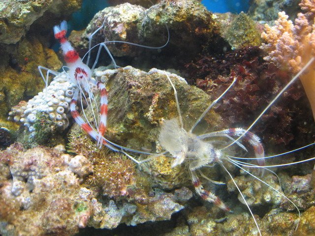 IMG_2845.jpg
