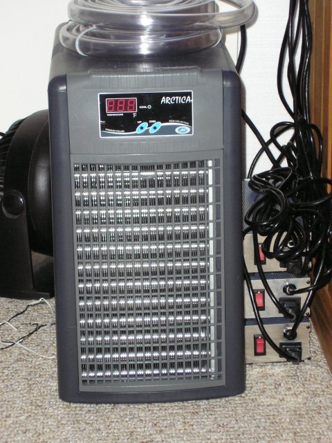 P1010167.JPG