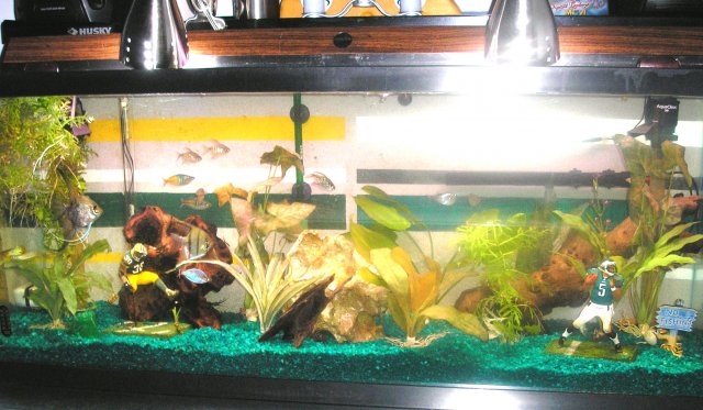 fish 056.jpg