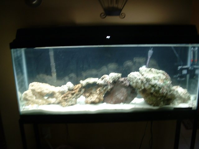 DSCF0103.JPG