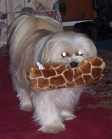 000_3880.JPG