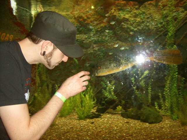 puffer.jpg