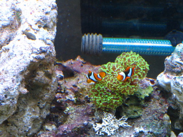 hosting 003.jpg hosting 003.jpg