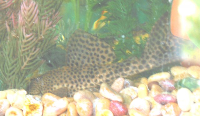 P3.jpg
