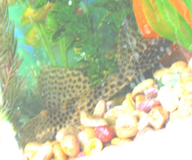 P4.jpg